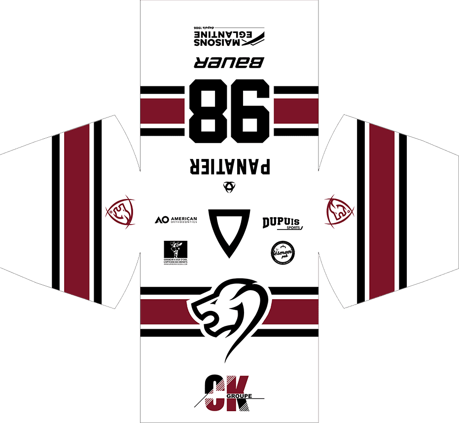 MAILLOT-BLANC-LIONS-BORDEAUX-ptt